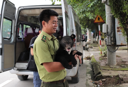 Tổ chức Động vật châu Á cứu hộ hai cá thể gấu

